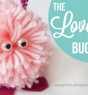 Love Bug Craft