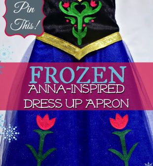 $20 DIY Princess Anna Costume