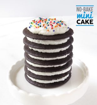 No Bake Mini Cake