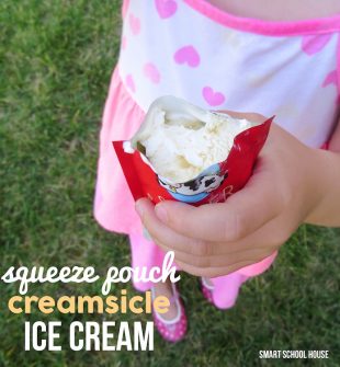 Squeeze Pouch Creamsicle Ice Cream