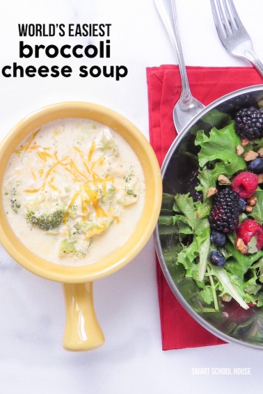 Broccoli Cheese Soup & Berry Salad