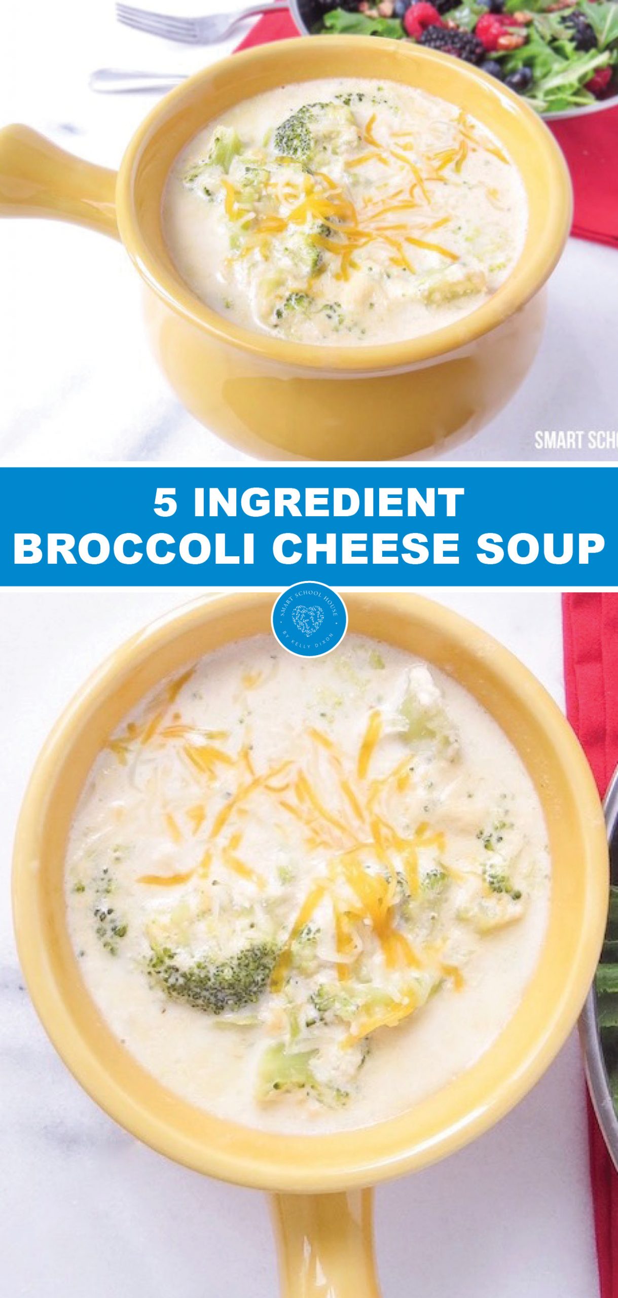 Quick And Easy Broccoli Cheese Soup Just 5 Ingredients