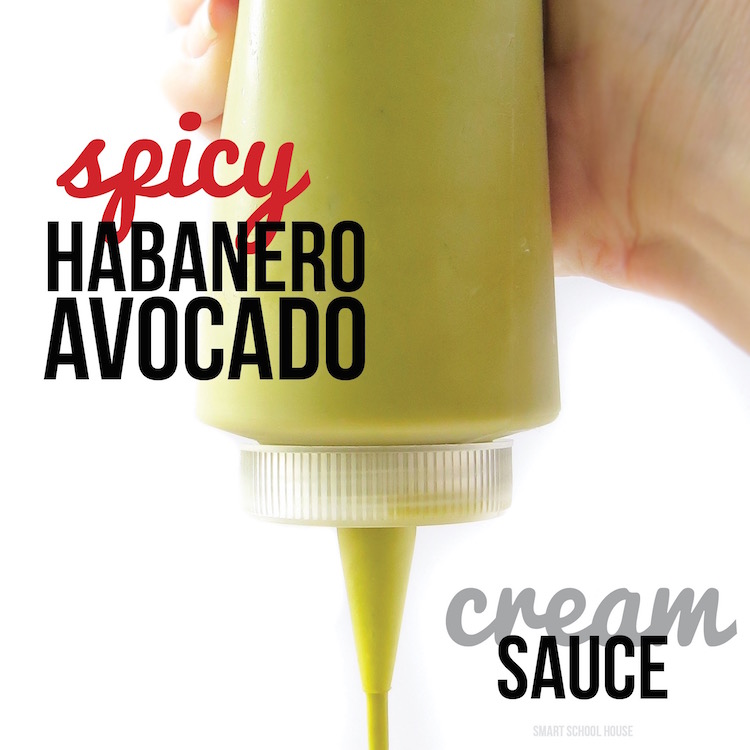 If you love Sriracha, Tabasco, or chili sauce, you will LOVE this Spicy Habanero Avocado Sauce! Use this recipe as a topping, an ingredient when mixing, or even for dipping. 