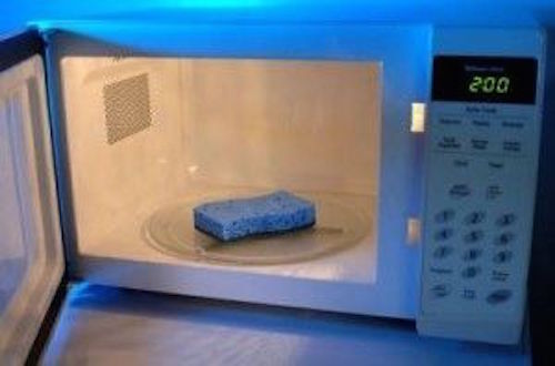 Who knew you could place a sour sponge in the microwave and make it like new again?