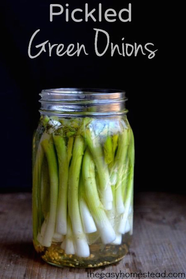 How to make Pickled Green Onions
