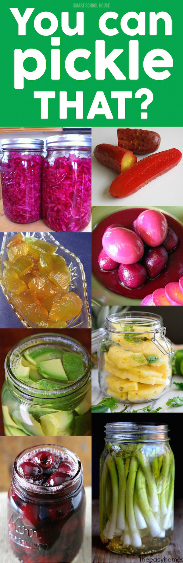 You Can Pickle THAT? You Can Pickle THAT? 13 foods we never knew could be pickled. 