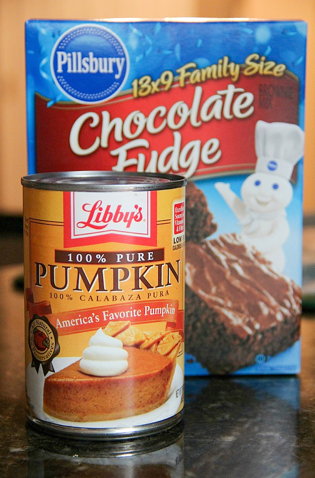 2 ingredient pumpkin brownies! Some say they are better than regular brownies.
