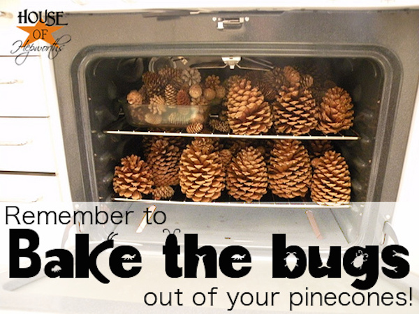 Pinecones make great decorations, but bake them first to eliminate bugs! It takes just about 45 minutes at 200 degrees.