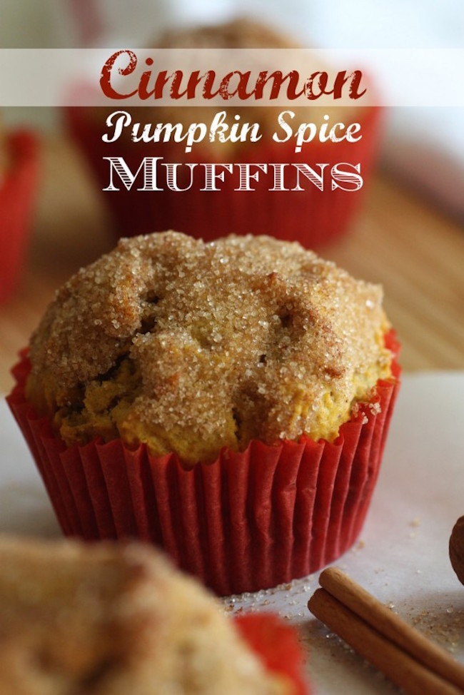 If you want muffins that taste like a cross between a pumpkin muffin and a cinnamon sugar donut, try this cinnamon pumpkin spice muffin recipe!