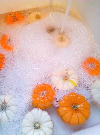 Want to make pumpkins last longer so you can save money? Wash then in this bleach water mixture to prevent from rotting in doors.
