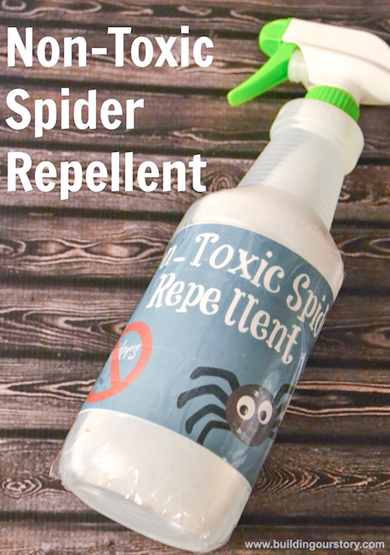 Homemade Non-toxic spider rebellent. I love this (and that bottle is so cute too!)