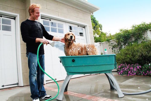 This is called a Booster Bath and it's a GREAT way to clean a big dog outside. 