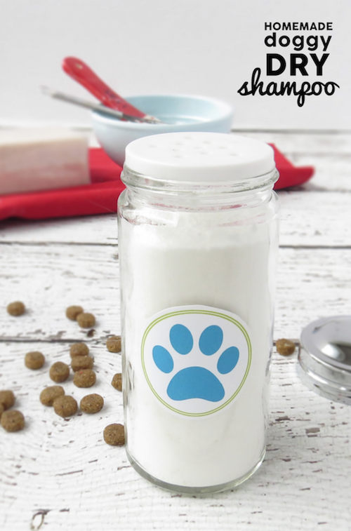 Have a stinky dog but no time to give them a bath? Use this DIY doggy dry shampoo to fix the problem! 