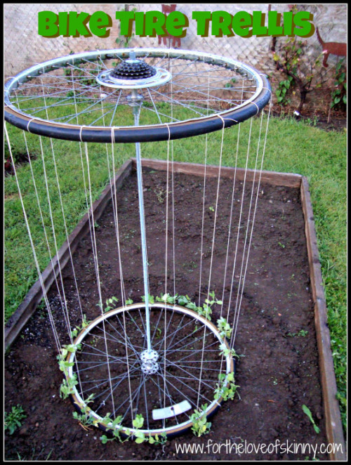 Use old bike tires to make a garden trellis. Neat! 