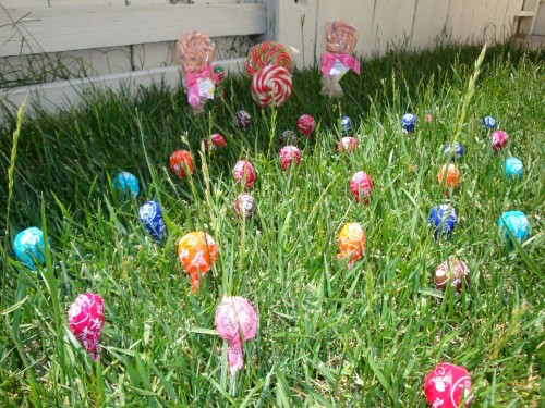 Plant Jelly Beans and magically grow Lollipops! MUST TRY this with the kids! Click the picture for details on how to pull it off. 