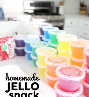Homemade Jello Snack Cups