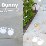 Easter Bunny Trail