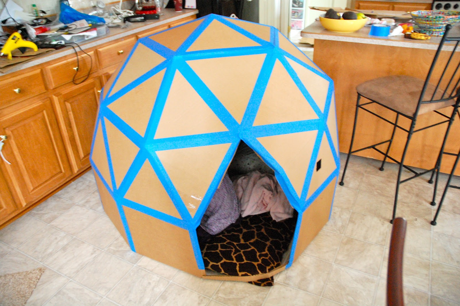 Cardboard Dome