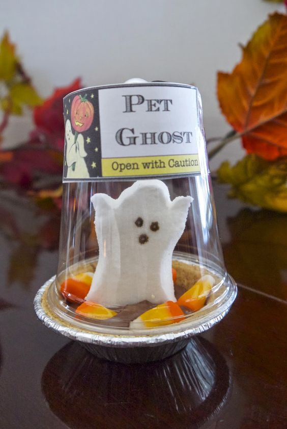 Pet ghost peeps - fun easy Halloween treat
