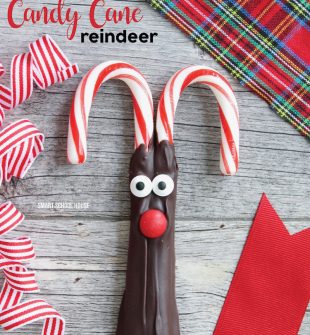 Chocolate Candy Cane Reindeer - adorable and easy chocolate candy cane reindeer for Christmas! Made with dark chocolate, candy eyes, and my favorite little red candy for the nose!