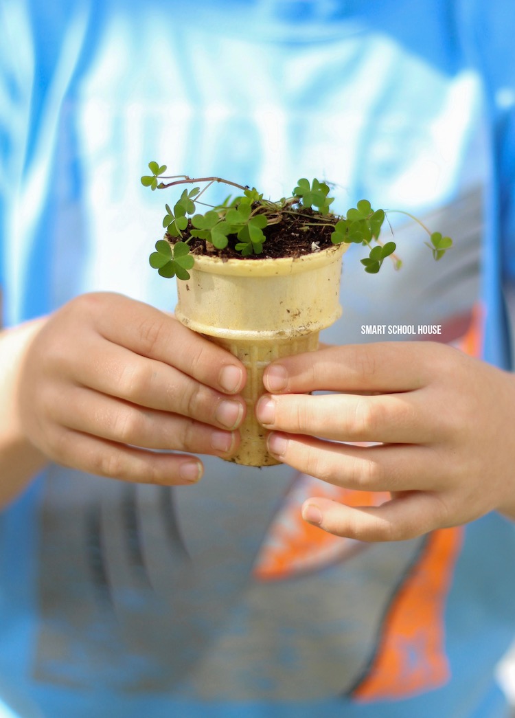 Ice Cream Cone Seedling Garden - start seeds in ice cream cones and then plant them when they're ready. Perfectly biodegradable!