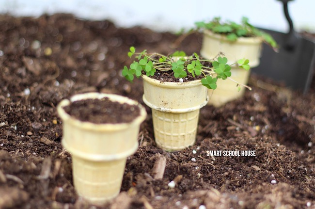 Ice Cream Cone Seedling Garden - start seeds in ice cream cones and then plant them when they're ready. Perfectly biodegradable! 