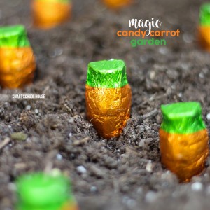 Magic candy carrot garden! How to grow chocolate carrots for spring using candy "seeds"- Kids LOVE THIS!