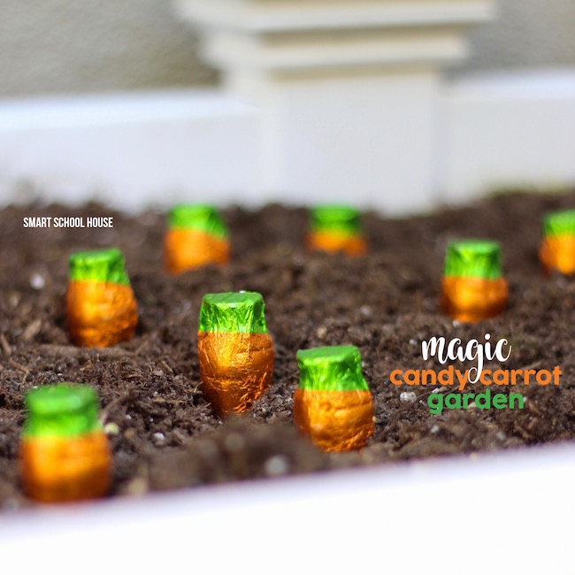Magic candy carrot garden! How to grow chocolate carrots for spring using candy "seeds"- Kids LOVE THIS!