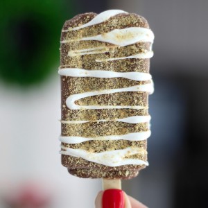 Fudgsicle S'mores - FROZEN S'MORES! Fudgsicles mixed with s'mores are such a tasty, quick, and easy cold treat for summer. Perfect for cooling off and curing your chocolate cravings this summer.