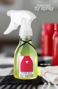 2 Ingredient Pine Sol Fly Spray for Keeping Flies Away