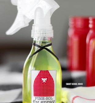 Pine Sol Fly Spray - 2 ingredient recipe that gets rid of flies and keeps them from coming back! Great for camping too. I love the way it smells:)