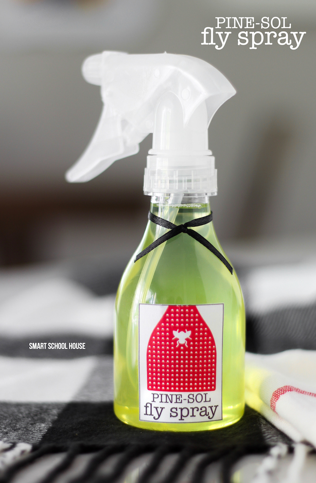 Pine Sol Fly Spray - 2 ingredient recipe that gets rid of flies and keeps them from coming back! Great for camping too. I love the way it smells:)