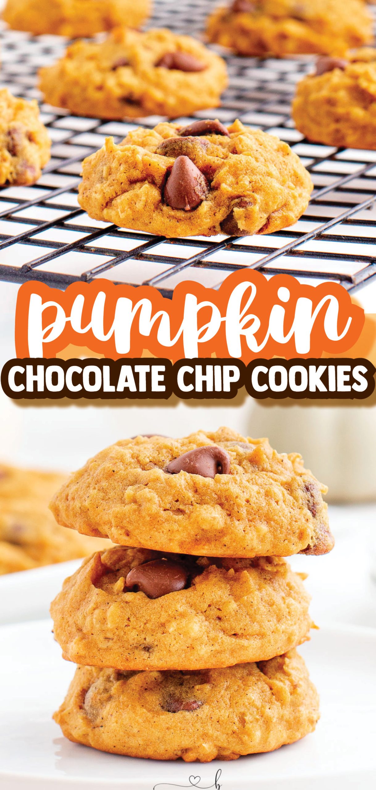 Pumpkin Chocolate Chip Cookies are soft and chewy with just the perfect amount of pumpkin flavor and chocolate chips!
