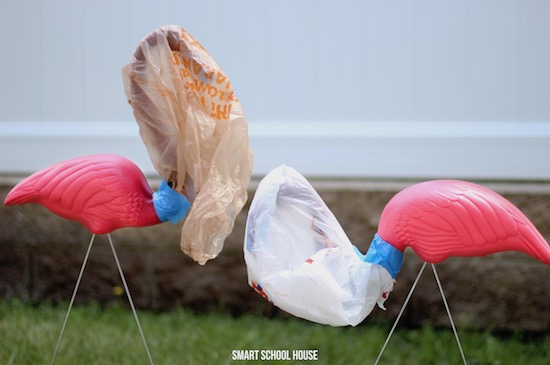 You have to see what they did with these plastic pink lawn flamingos! 