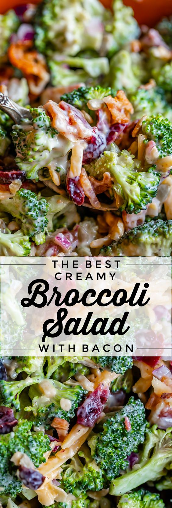 Everyone needs an easy recipe for Broccoli Salad! This side dish stuffed with bacon, cranberry, and cheese is a huge crowd-pleaser.