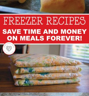 Make Ahead Freezer Meals