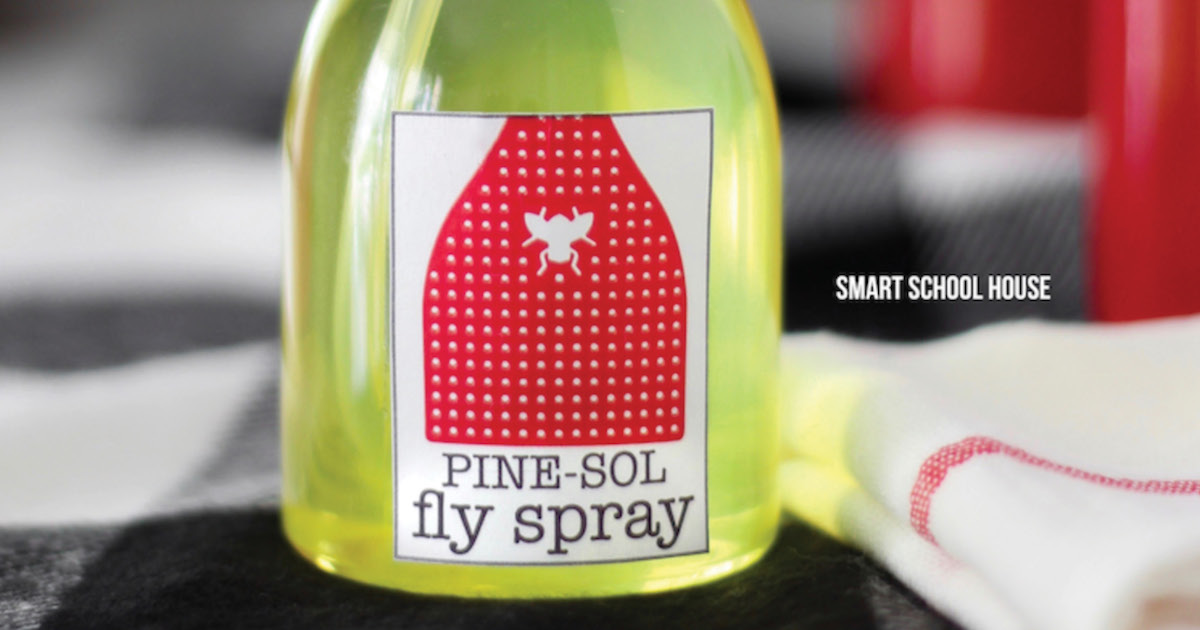 Pine Sol Fly Spray for Keeping Flies Away