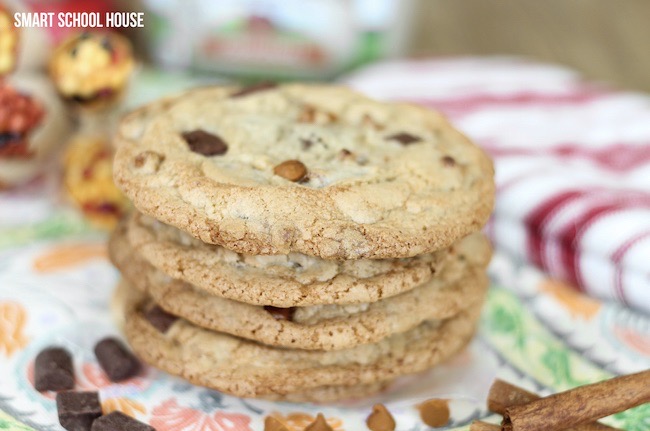 Pumpkin Spice Cinnamon Chip Cookies are the perfect Fall Cookies and a wonderful choice for a Cookie Exchange. The cookies are deliciously soft and full of that warm pumpkin fall flavor everybody loves which makes it a great Thanksgiving Dessert idea. 