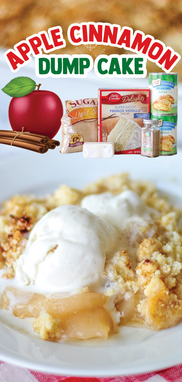 Easy Apple Cinnamon Dump Cake Recipe! Take all 5 ingredients, dump them into a baking dish, and serve it warm with ice cream.