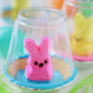 An edible Pet Peep for Easter. Pet Peeps are housed in a graham cracker bowl habitat and enclosed with a clear surrounding. #EasterCraft #Peeps