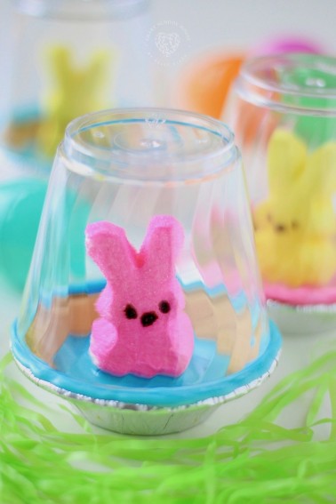An edible Pet Peep for Easter. Pet Peeps are housed in a graham cracker bowl habitat and enclosed with a clear surrounding. #EasterCraft #Peeps