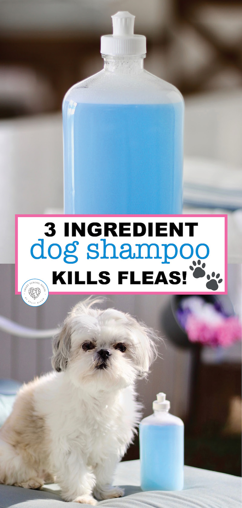 Homemade Dog Shampoo Recipe that KILLS FLEAS!