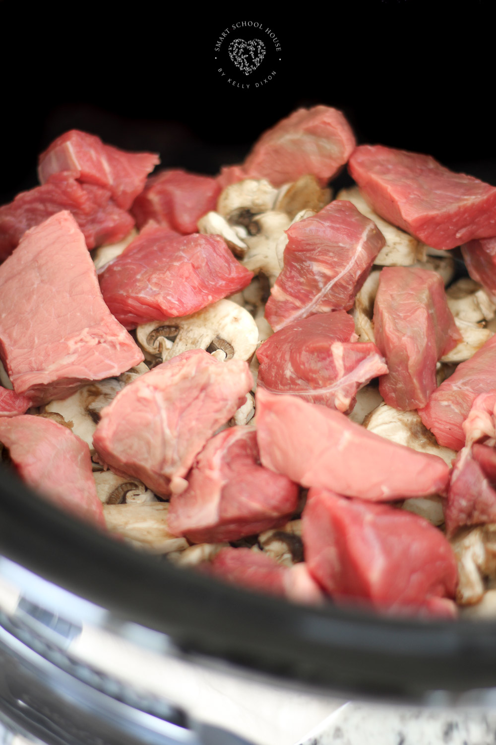 Slow Cooker Pot Beef Stroganoff Recipe 