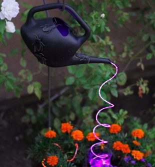 Halloween Watering Can with Lights. Spooky creepy crawlers on a black watering can with cascading purple lights.