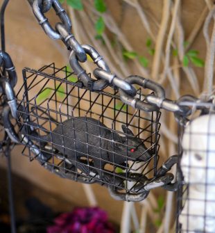 Hanging Cages for Halloween using baskets from the Dollar Store!
