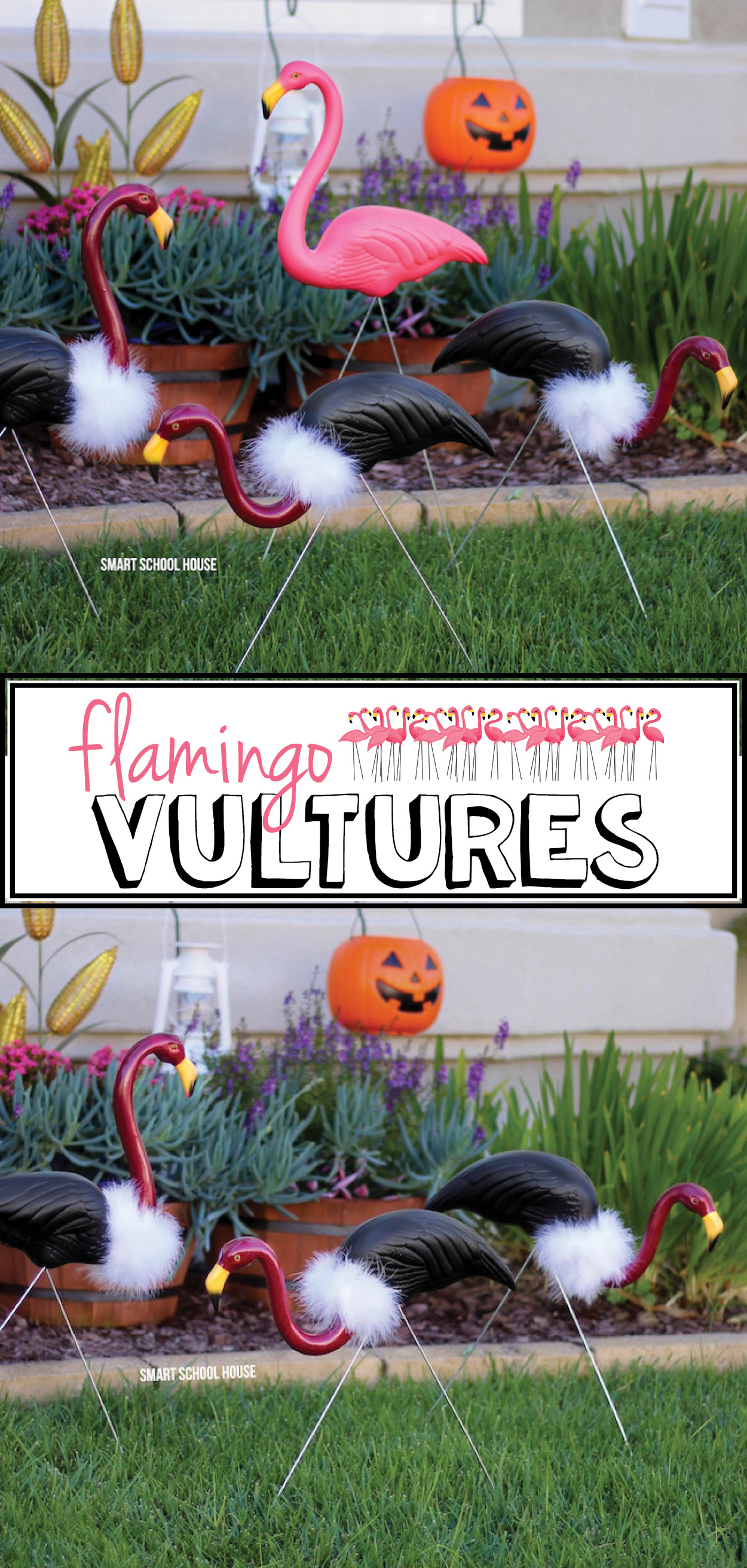 Flamingo Vultures Smart School House