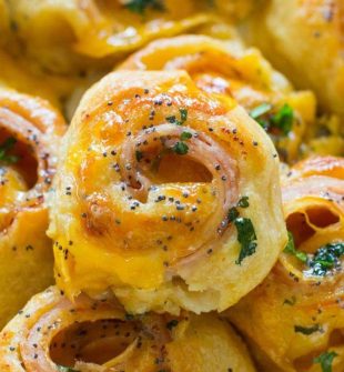 The BEST Appetizer Recipes