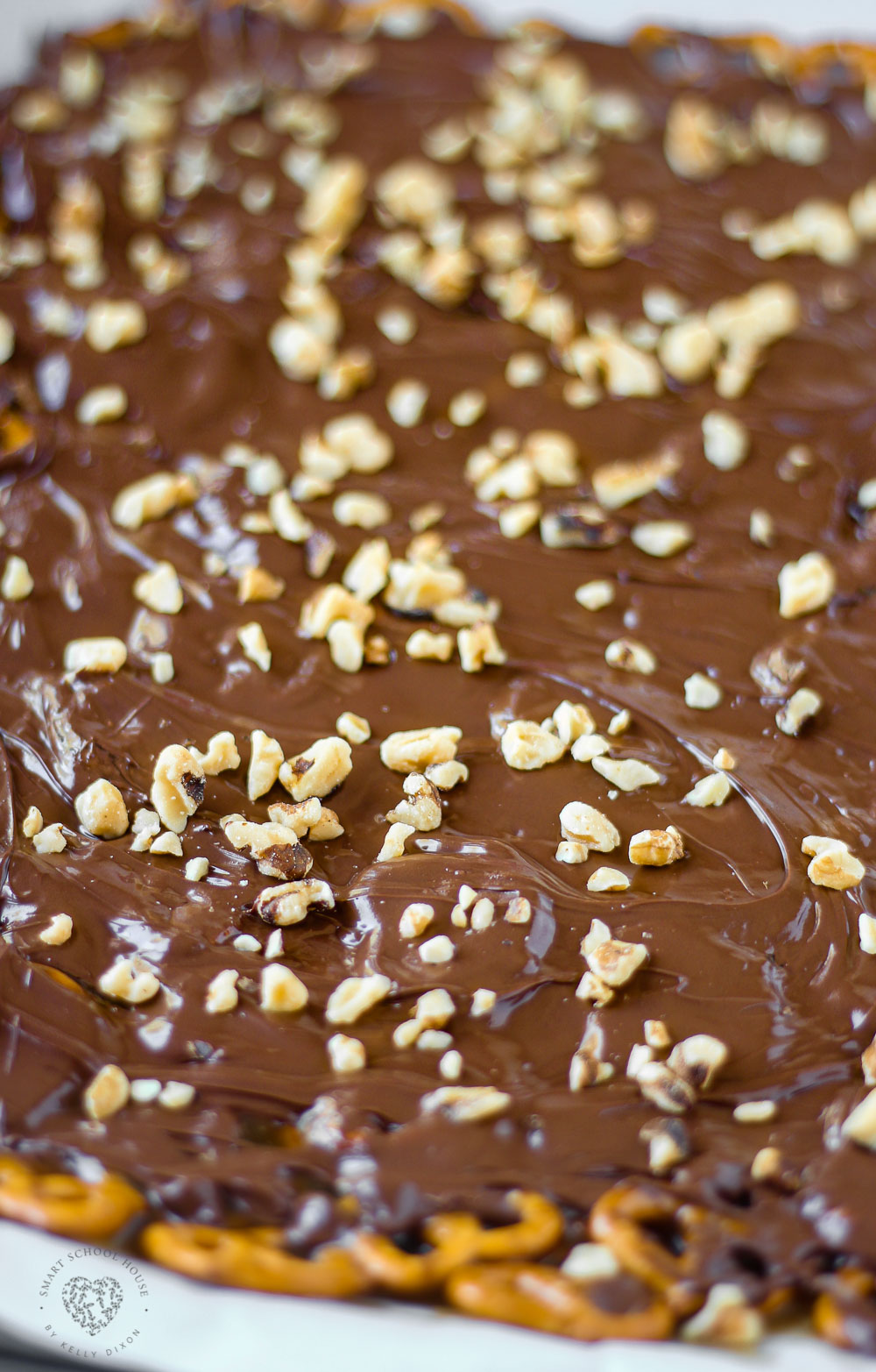 Chocolate Toffee Pretzel Bark - Salty, sweet, buttery PERFECTION! 