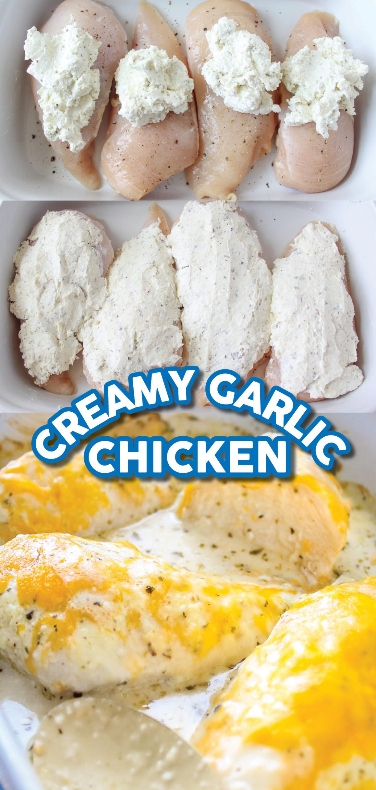 This recipe from Smart School House for creamy garlic chicken tastes AMAZING and it’s so simple to make! Tender and juicy chicken covered in a mouthwatering, creamy, cheesy topping. This quick and easy dinner uses simple ingredients, and the whole family will love it! Try making this amazing recipe from Smart School House today! #chicken #garlic #recipes #dinner #easy