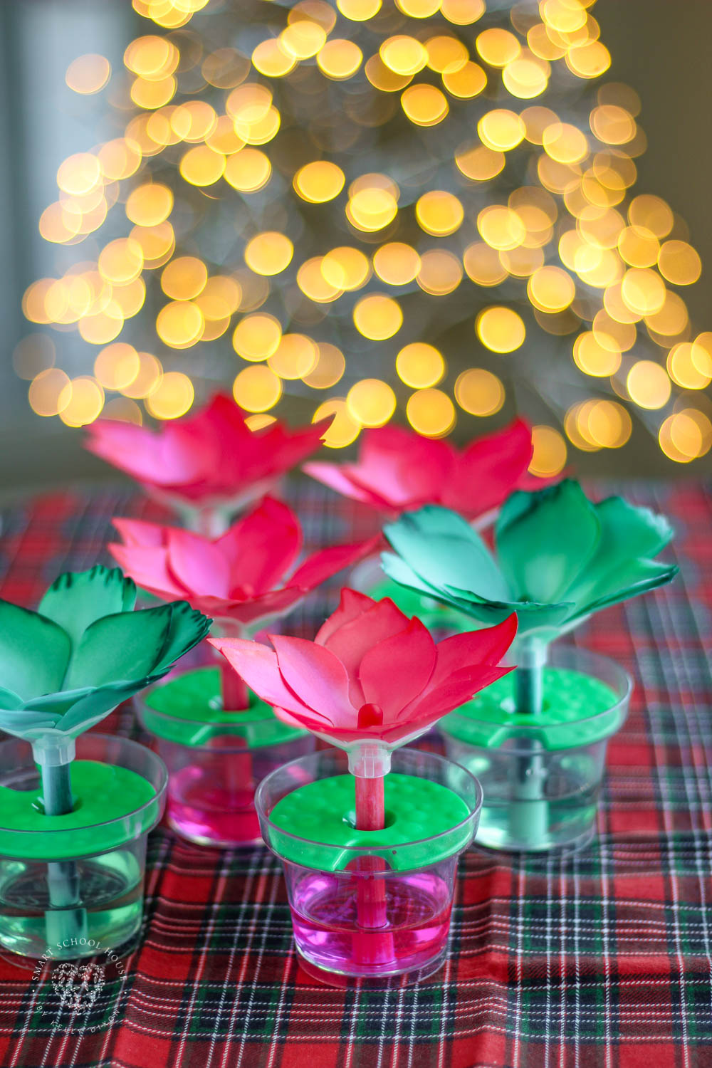 These Paper Poinsettias are more than a DIY Christmas craft, it's a science experiment for kids too!